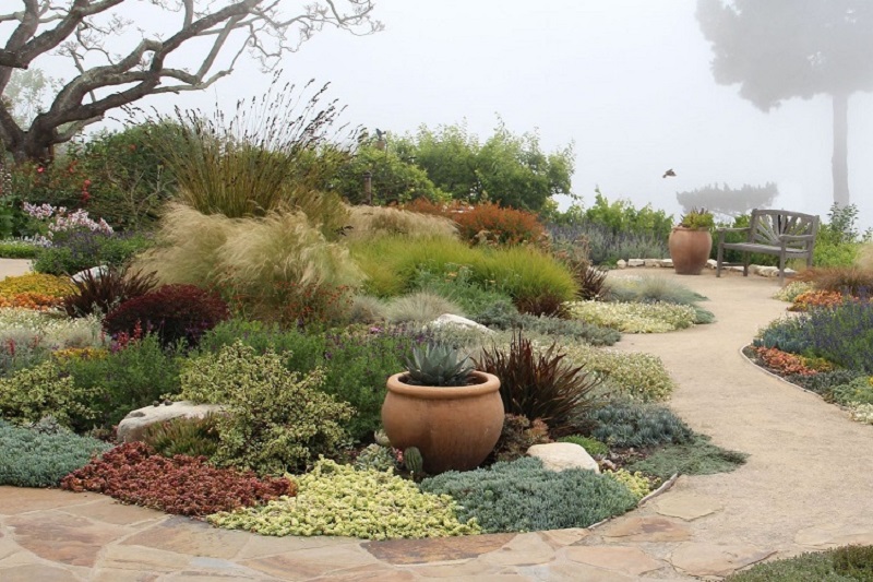 10 Tips For Landscape Design In Dry Areas